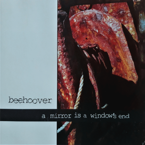 Beehoover : A Mirror Is a Window's End
